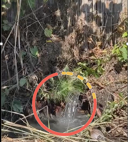 G79 Rhv N Xs A I B Y I Y