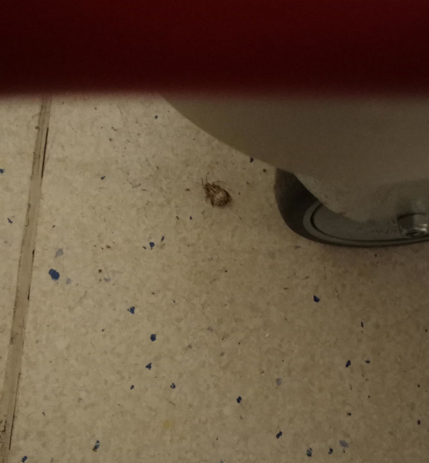 Hendek Devlet Hastanesi Temizlik Personelinden Ilgisizlik Ve Mahremiyet Ihlali 1 (1)