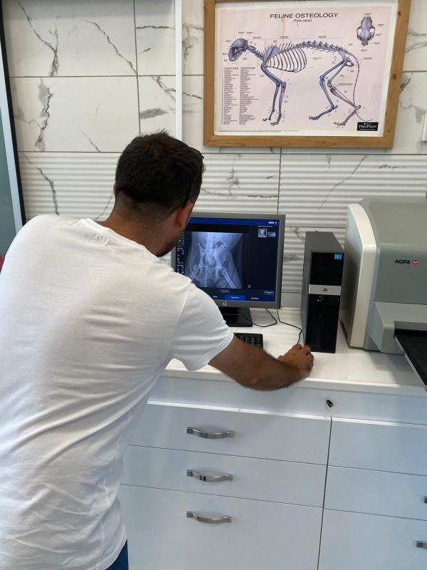 Whatsapp Image 2025 07 31 At 114111