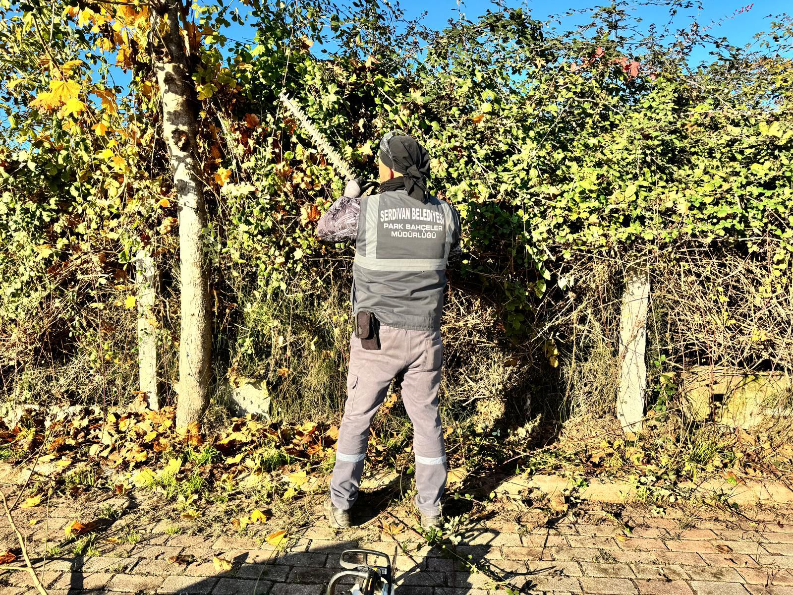 Whatsapp Image 2025 12 19 At 10.08.26