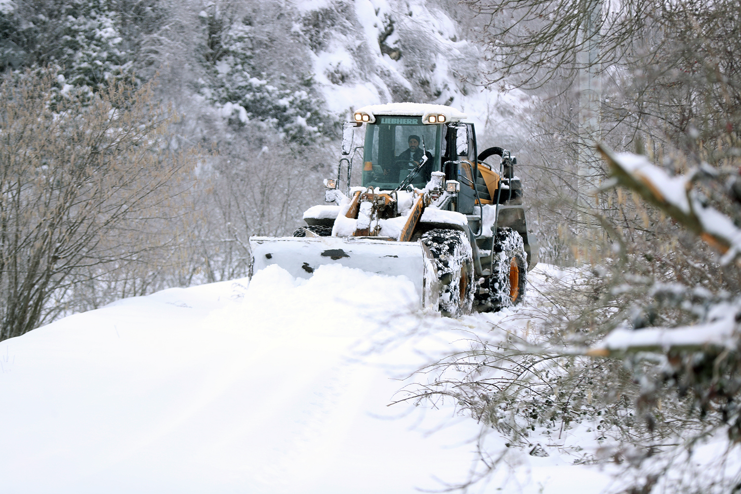 1 2026 01 02T093233.950