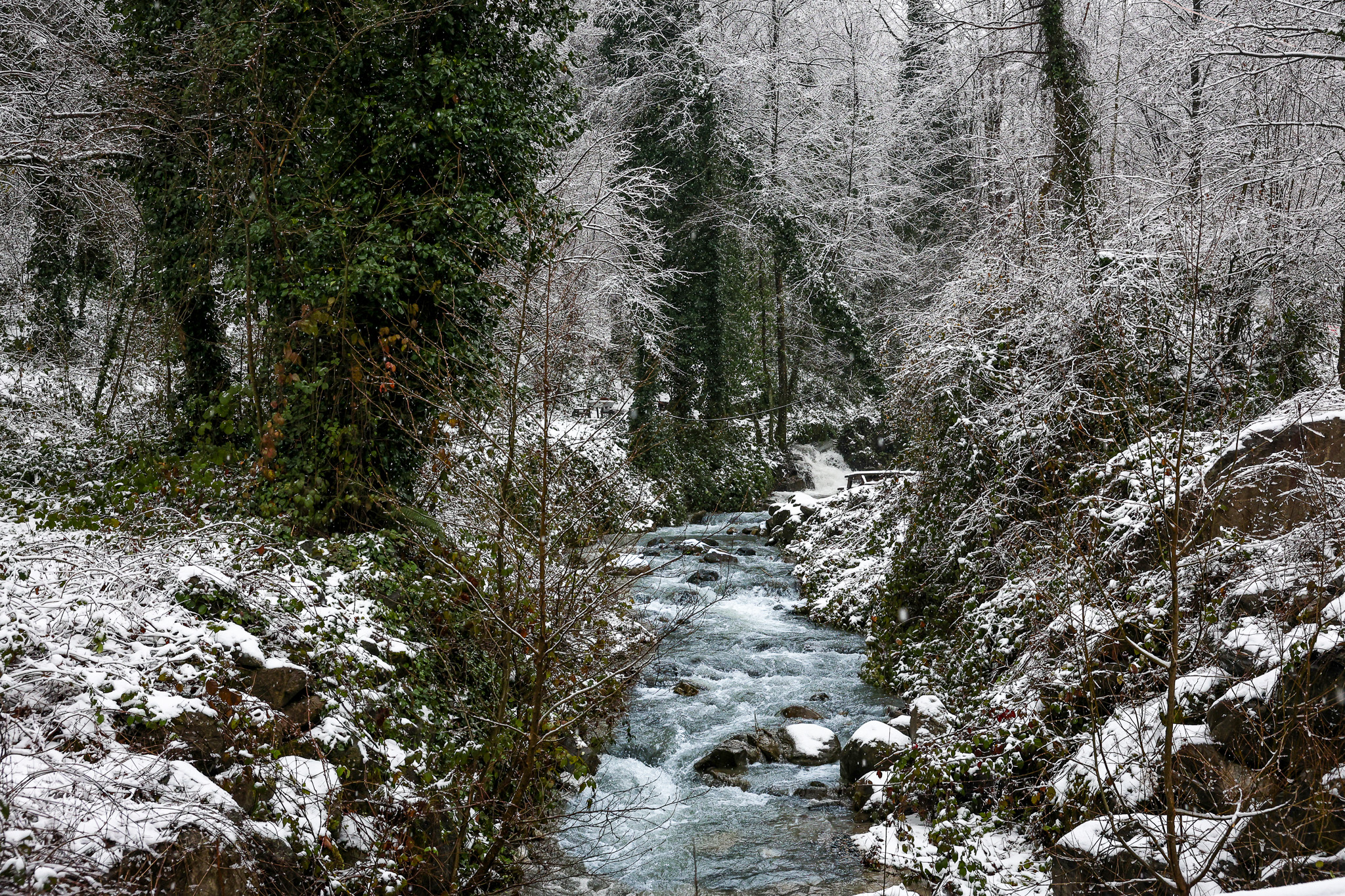 1 2026 01 14T121755.251