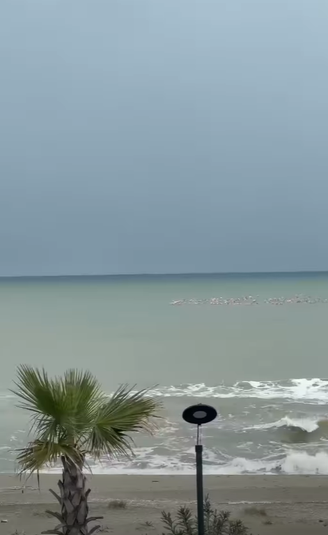 Ekran Görüntüsü 2026 01 14 134701