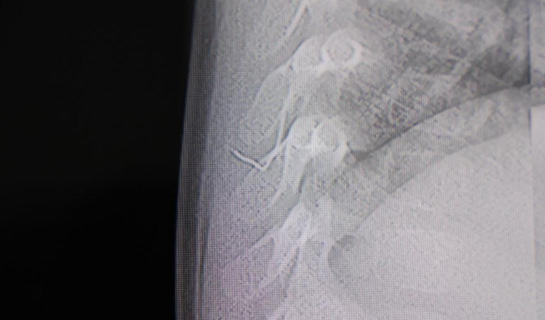 Ekran Görüntüsü 2026 01 30 155134