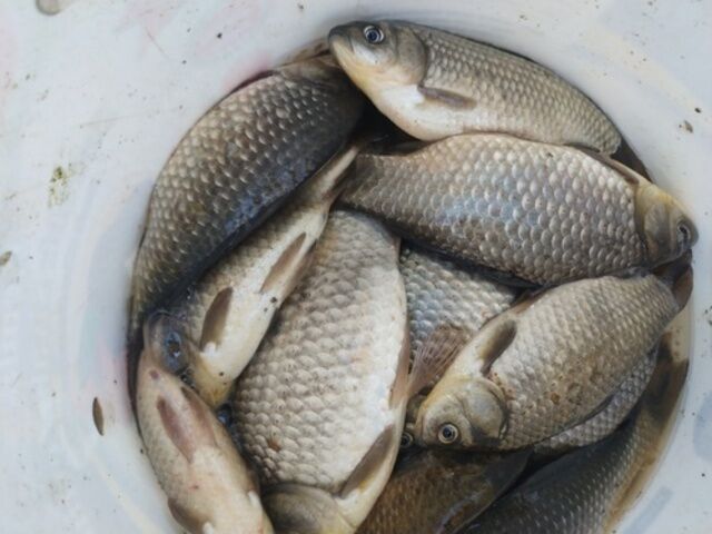 18 16 37 Img 20211016 170056