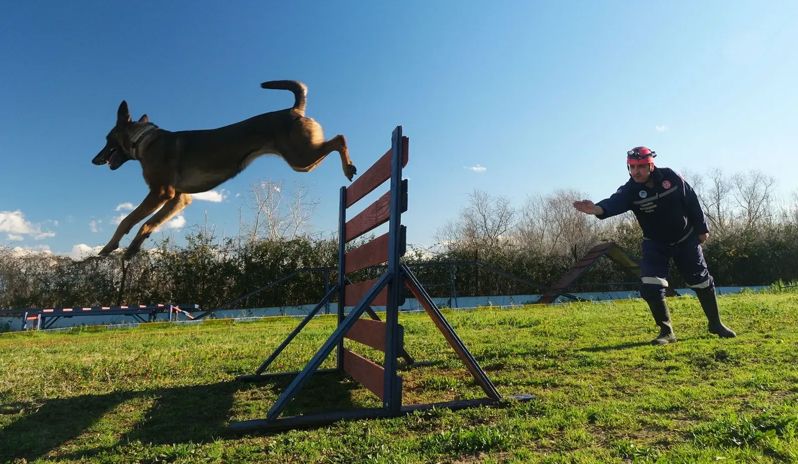 Buyuksehirin K9 Ekibi Olasi Afetler Icin Teyakkuzda 1