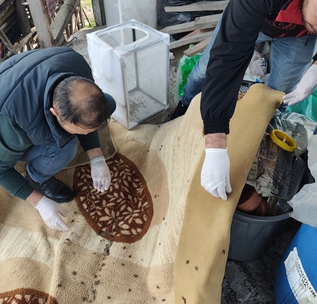 61A79133 54Da 4297 Ab64 1B84989B9A28