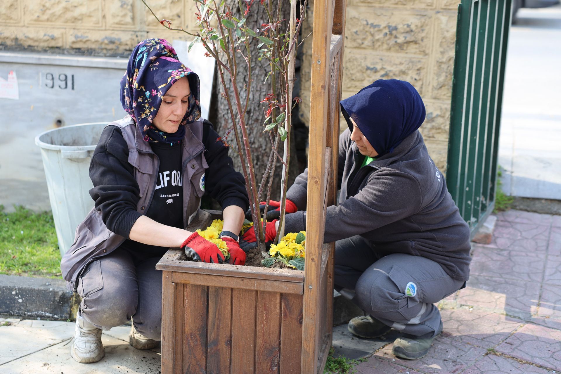 Attachment 37949 12 6E53C3478Eddd7Dbff540Bc681E08C2C 1773914836