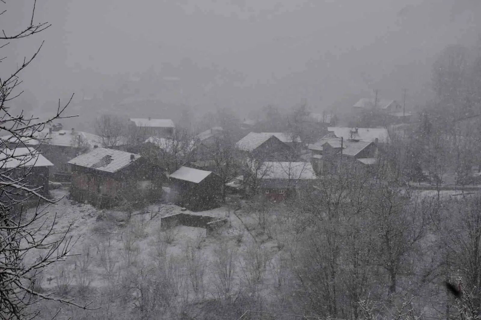 H D15 W1 X Wo A Aoq Ut