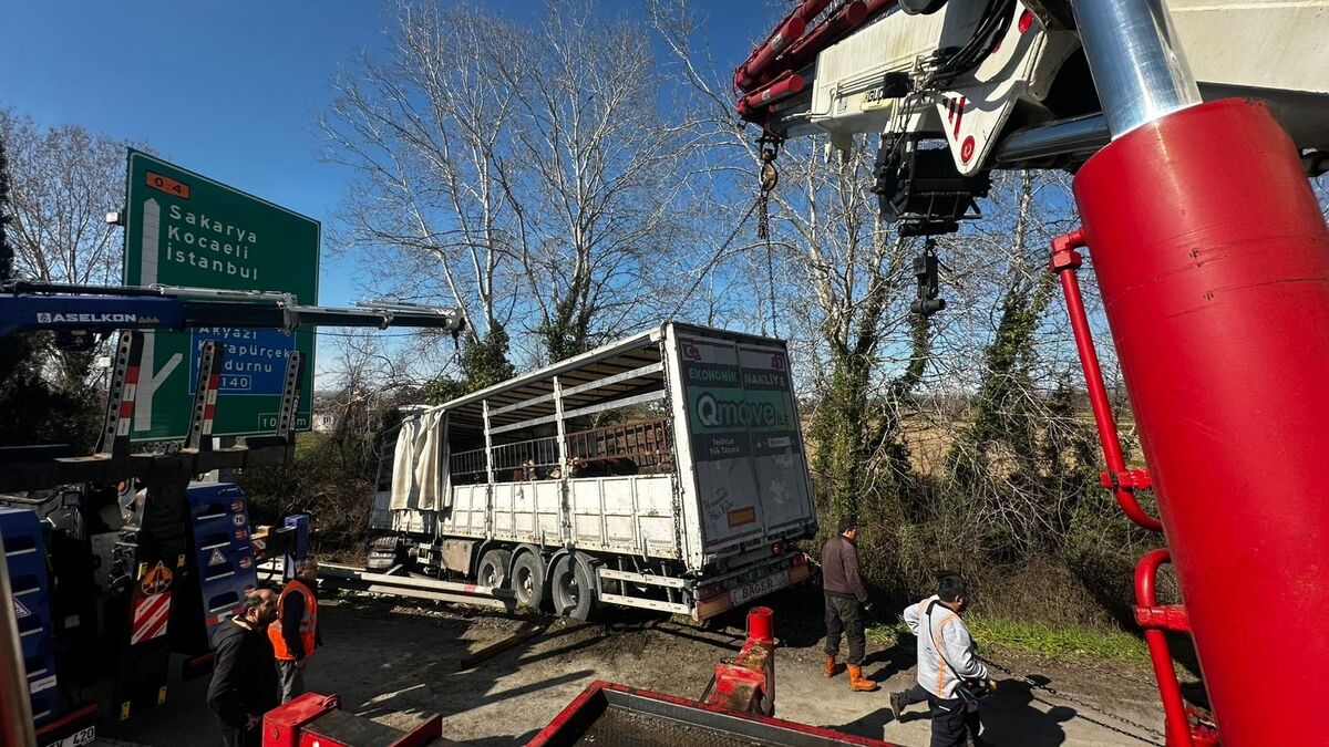 Temde Kurbanlik Tasiyan Tir Sarole Uctu 64307 2026 03 14 15 23 21