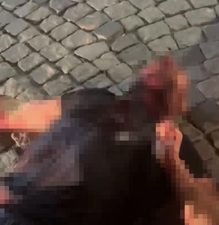 Akrabasının boğazını kesip kahvehanenin önüne attı