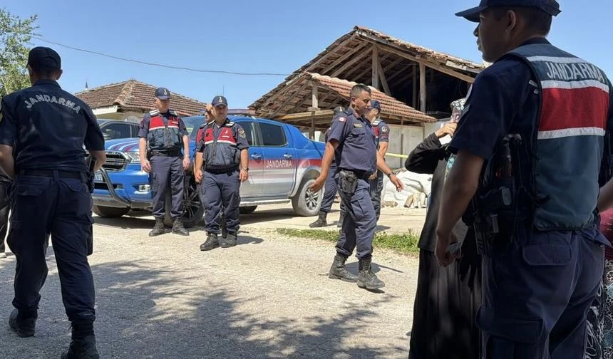 Korkunç cinayette şüpheli arkadaş tutuklandı