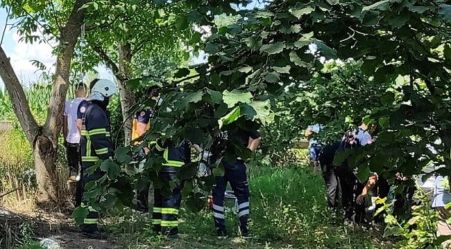 Fındık bahçesinde kendini asarak öldürdü