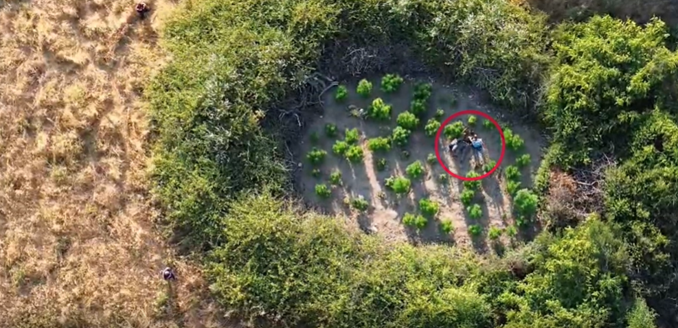 Sakarya dahil 28 ilde dev operasyon!