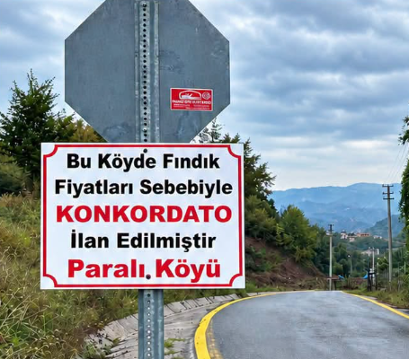 Bu köy konkordato ilan etti!