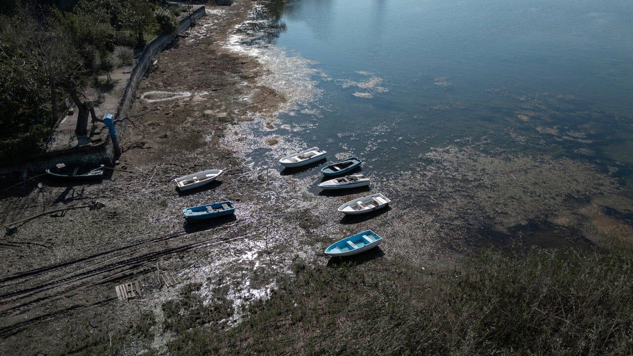 Sapanca Gölü’nde suyla beraber yaşam da bitiyor