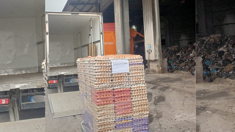 Sakarya’da 59 bin 70 yumurta imha edildi