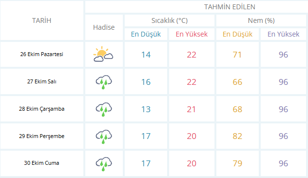 Hava 26
