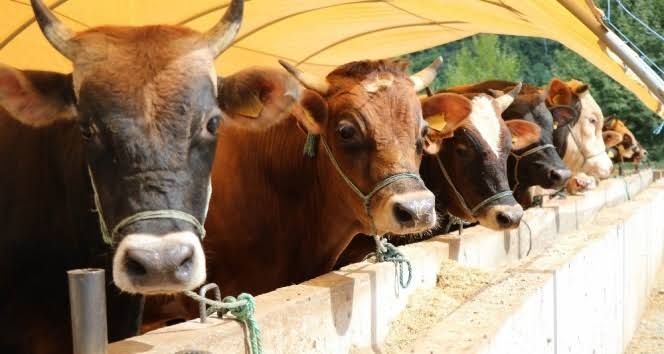 SATSO’da Tarım ve Hayvancılık Komitesi’nde Mavi Liste kazandı